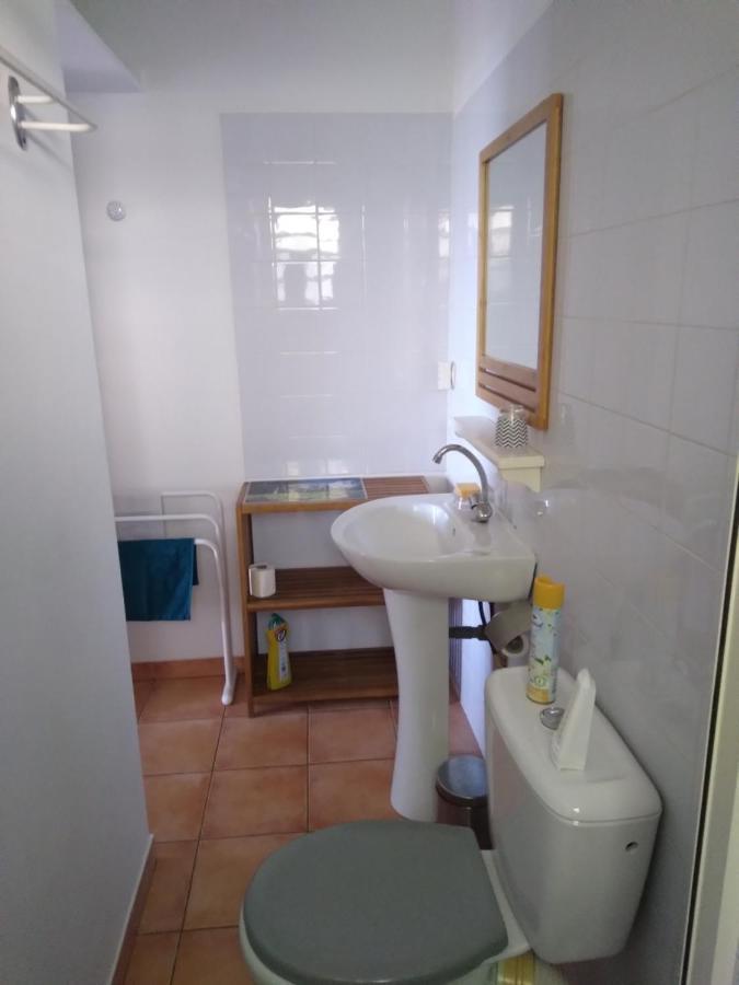Studio Aux Avirons Pour 2 Personnes, Avec Piscine Les Avirons Extérieur photo